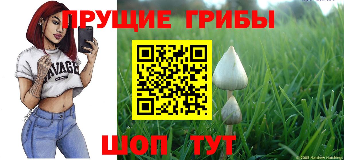 Галлюциногенные грибы GOLDEN TEACHER Грязи